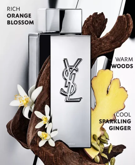Yves Saint Laurent Absolu Parfum 3.3 oz